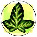 greenedera avatar