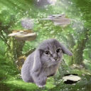 greyhoundman6852 avatar