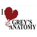 greys-anatomysanctuary-blog avatar