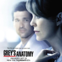 greysanatomyquotess avatar