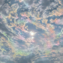 greystrangeranatomythings avatar