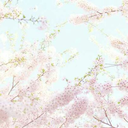 gridonel-silenzio avatar