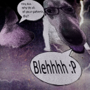 grief-instilled avatar