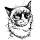 grumpicat avatar