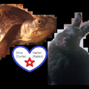 grumpyoldmanandhenoodles avatar