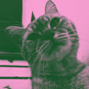 gtaulagiaseli avatar