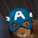 guineapigliberationfront avatar