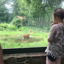 gutenmorgenfreiheit avatar