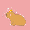 h-a-p-y-b-a-r-a avatar