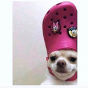 hablas-mucho-sabes-poco avatar