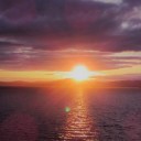 hailthesunnydays avatar