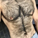 hairychestloversblog avatar