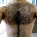 hairyistherule avatar