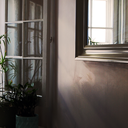 half-confidence avatar