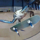 halfadoginatank avatar