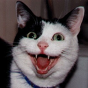 halfheartedheroine avatar