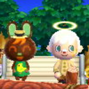 hallamscrossing avatar