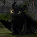 hamlets-bootycheeks avatar