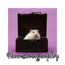 hamsterography avatar