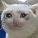 handfulsoffireworks avatar