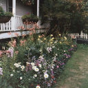 hannahleigh09 avatar