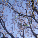 hannahmadelyn avatar