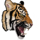 happiness-in-nature avatar