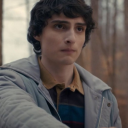 hard-collection-dream avatar