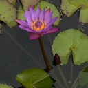 hard-to-find-a-creative-username avatar