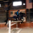 hard-working-eq avatar