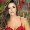 hardincage-blog avatar