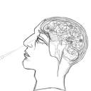 hardlightvivisection avatar