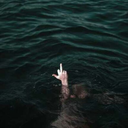 hardrestlessness avatar