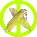 harryfloorcorn avatar