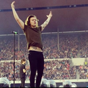 harryforloubear avatar