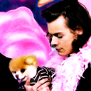 harryglitter-blog avatar