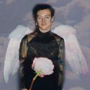 harryhighkey avatar