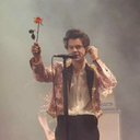 harryinventedpink avatar