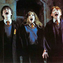 harrypotterforeverwithme avatar