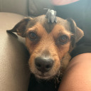 harrys-bae1996 avatar