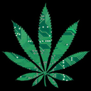 hashganjaweed avatar