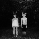 hatefulbunnies avatar