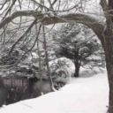 hatemi13-blog avatar