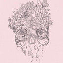 haunted-hopes avatar