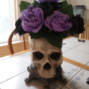 hauntedindigo avatar