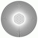 havelessbemore-blog avatar