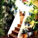 hazzastylezrph avatar