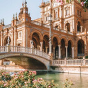 head-full-of-wonder avatar