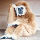 headedoutleft avatar