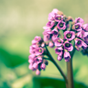 healthyisthewaytobe avatar